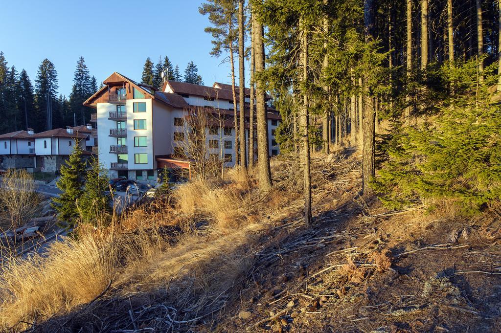 Forest Glade-Апартаменти И Стаи За Гости Pamporovo Eksteriør bilde