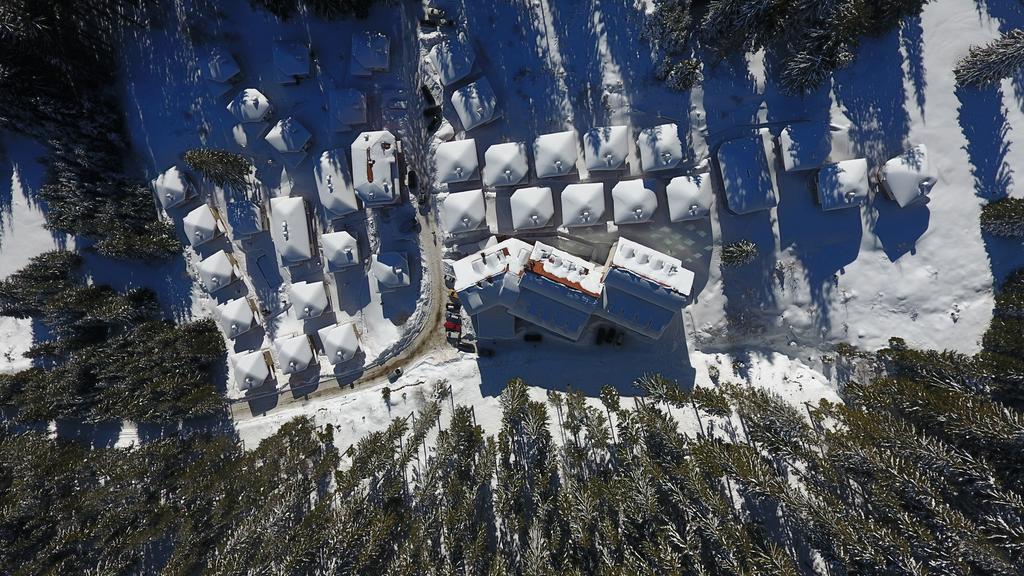 Forest Glade-Апартаменти И Стаи За Гости Pamporovo Eksteriør bilde